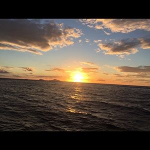 Meet your Posher, Ivy